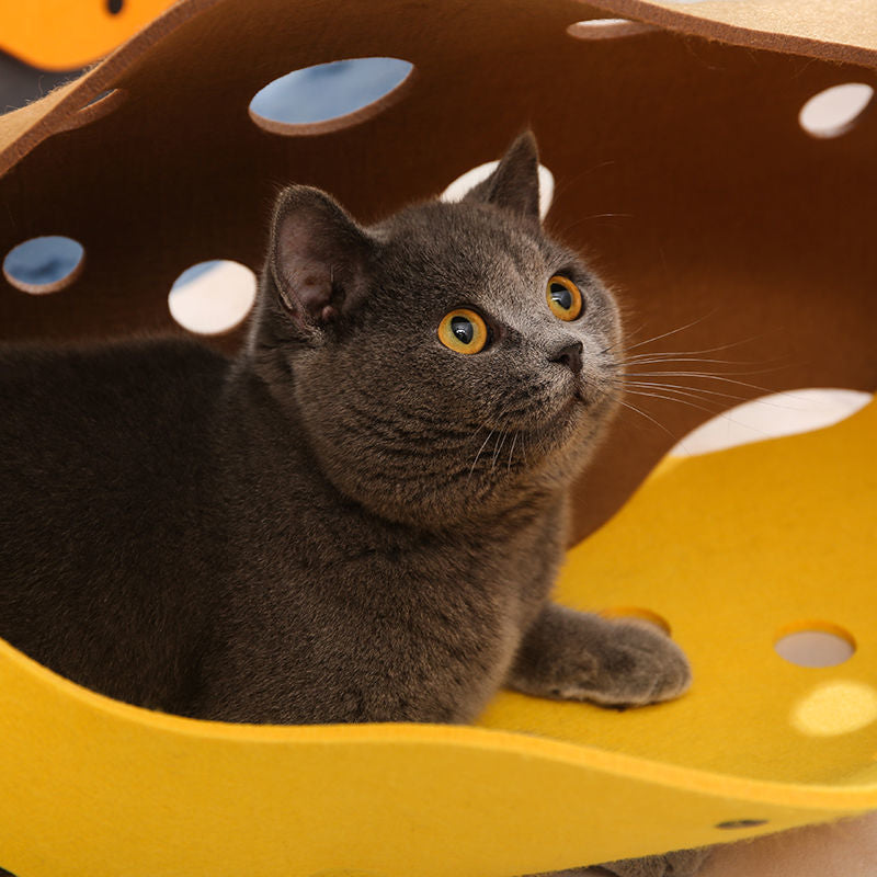 Foldable Cat Tunnel Pet Interactive Toy